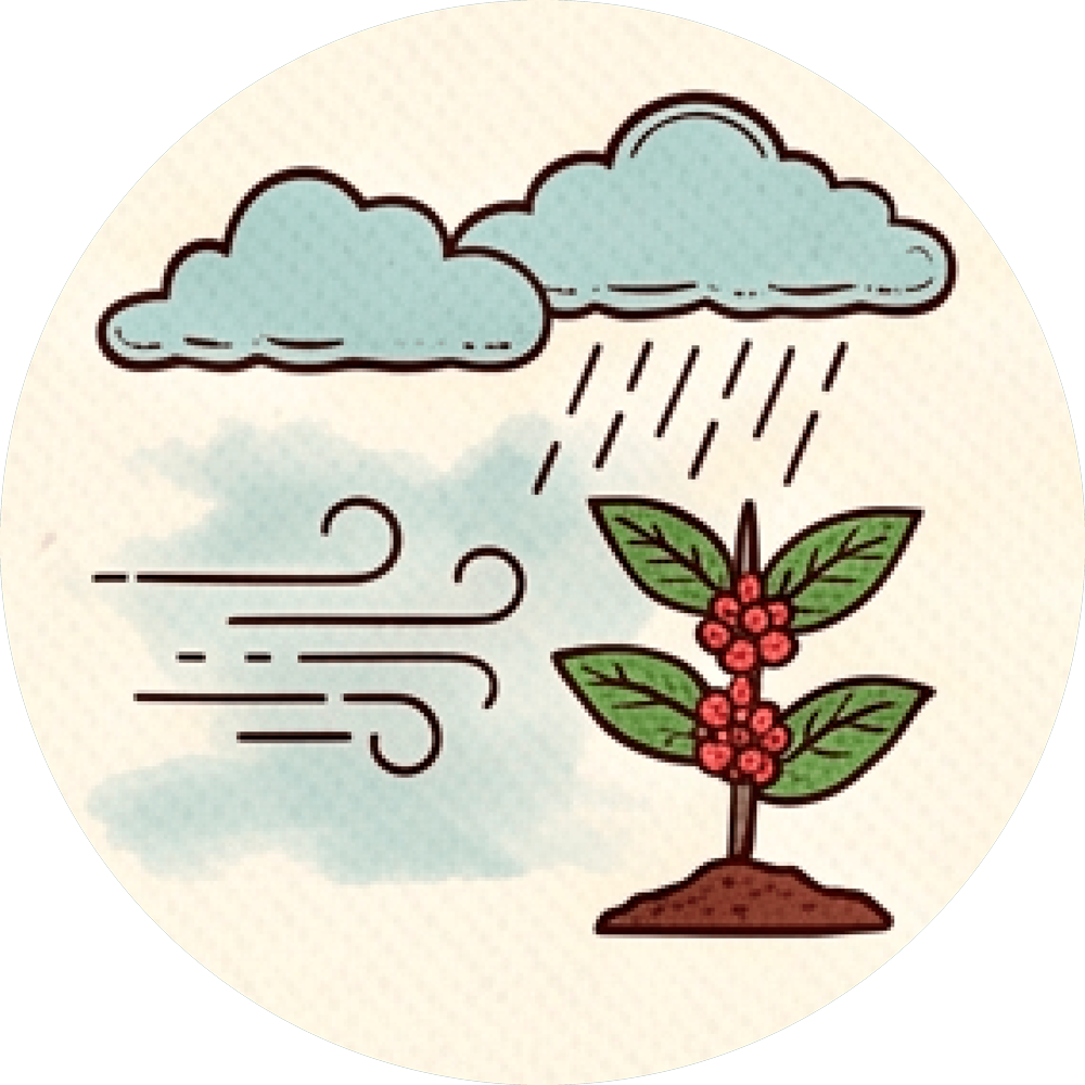 Unique Microclimate