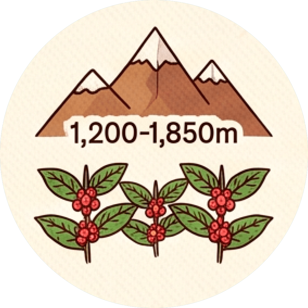 Ideal Altitude
