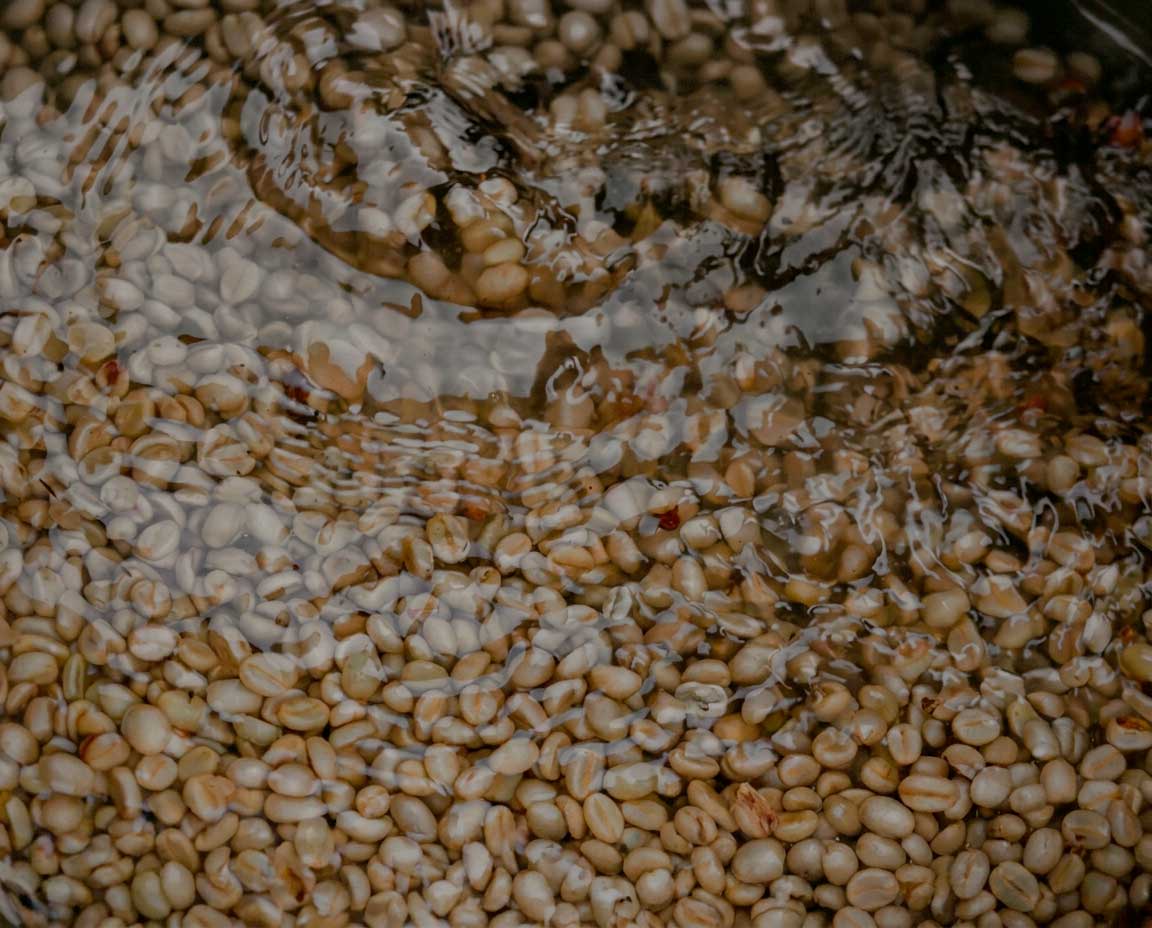 Washed Process