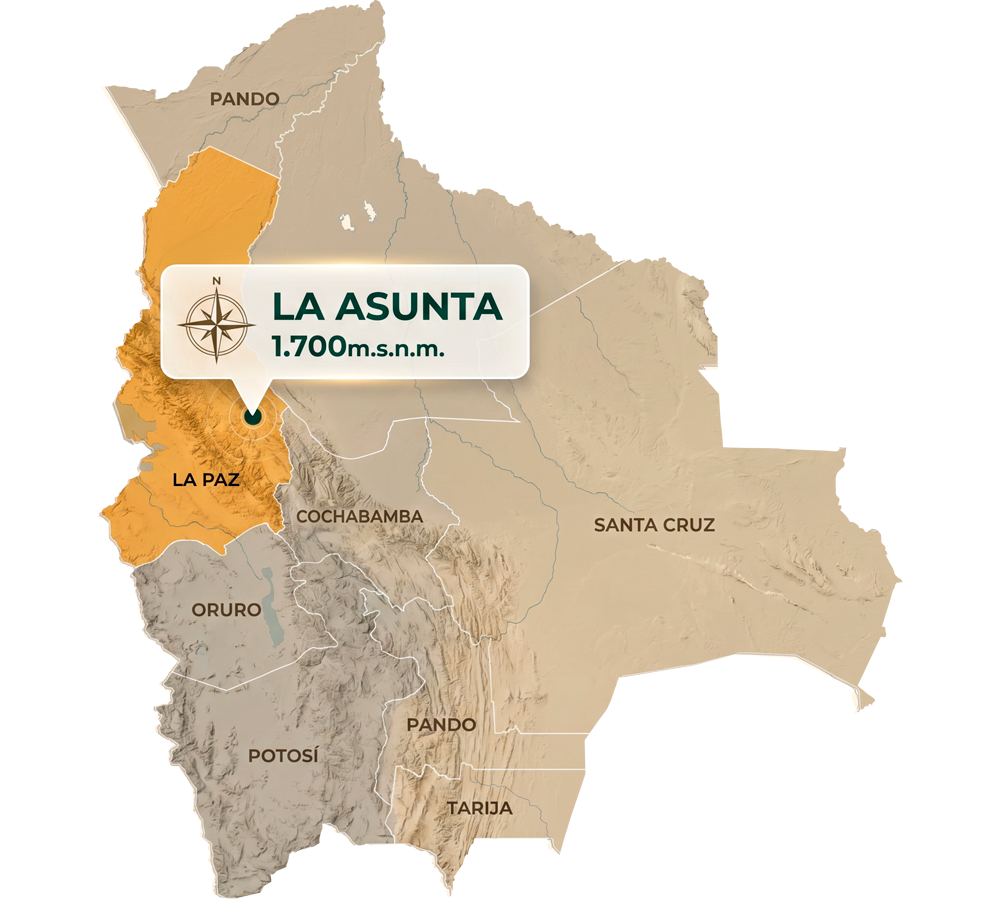 Map La Asunta